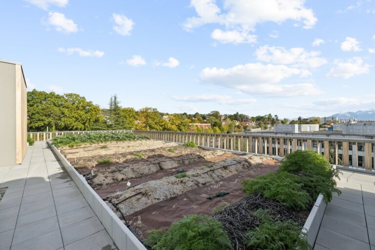 Ferme urbaine sur le toit de MixCity à Renens