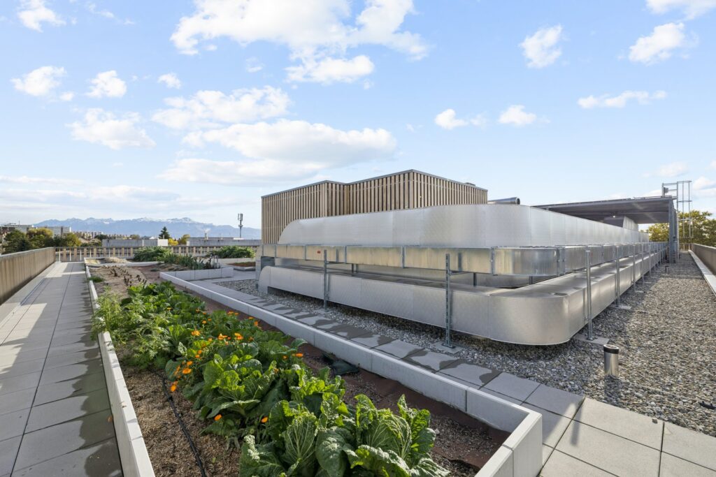 Toiture végétalisée du bâtiment MixCity à Renens
